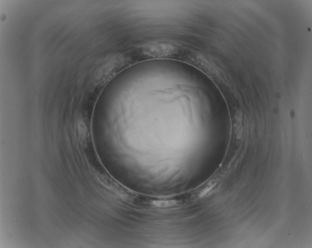 X0000071380371200606261419