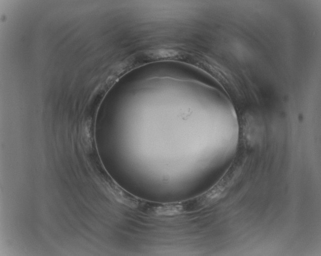 X0000071380373200606261419