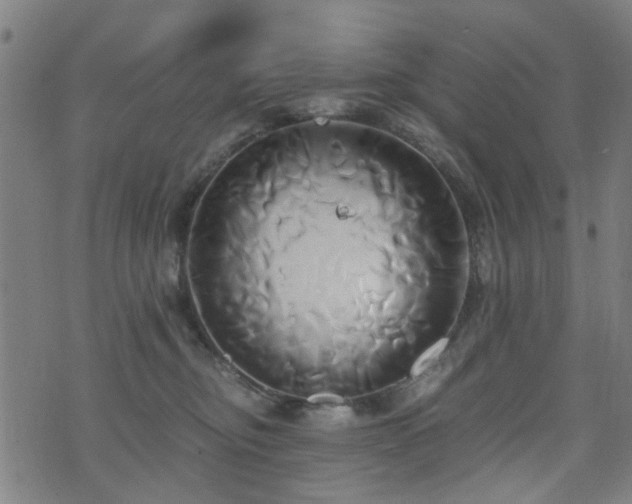 X0000071380374200606261419