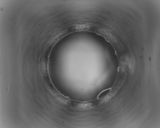 X0000071380375200606261419