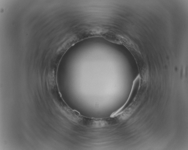 X0000071380376200606261419