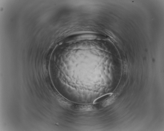 X0000071380377200606261419