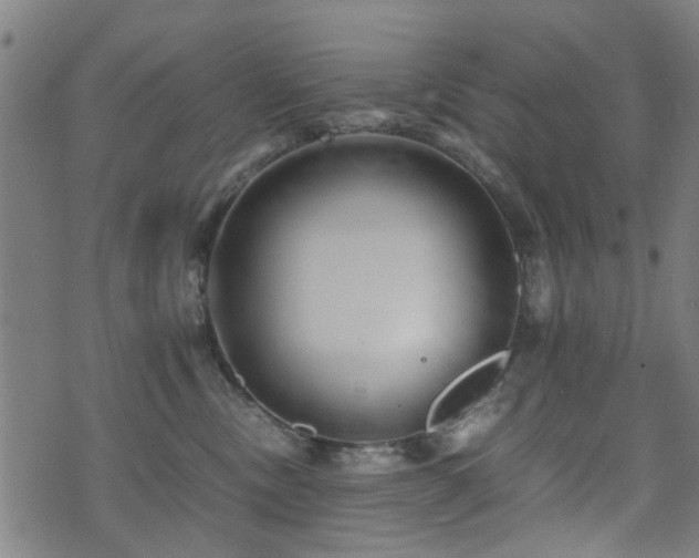 X0000071380378200606261419