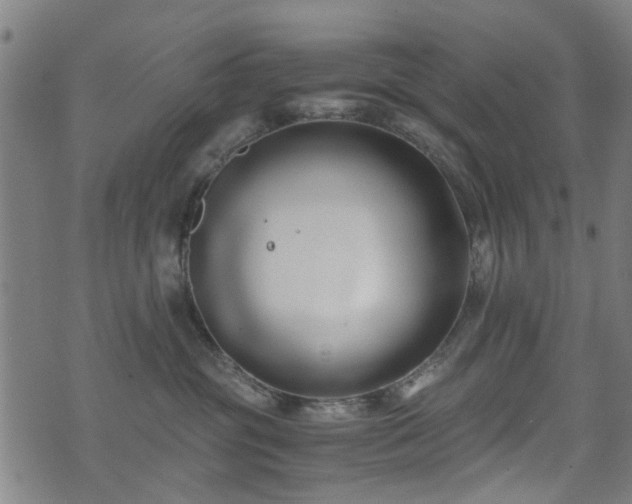 X0000071380381200606261419