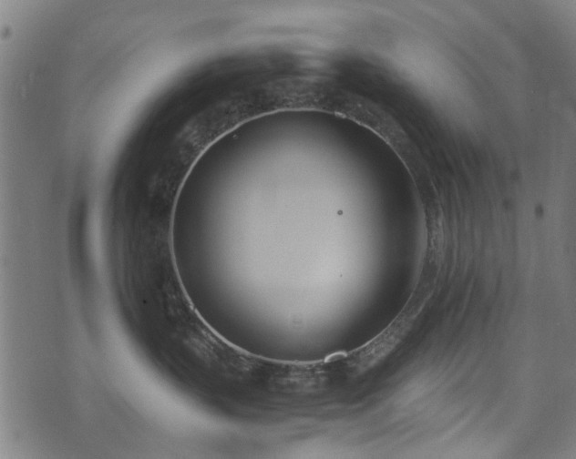 X0000071380383200606261419