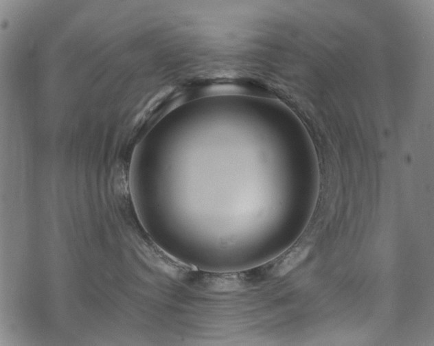 X0000071380384200606261419