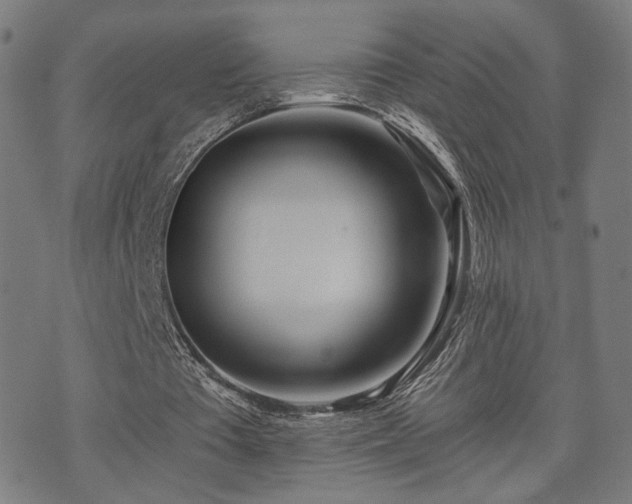 X0000071380385200606261419