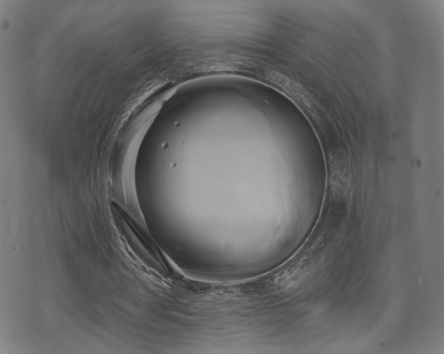 X0000071380386200606261419