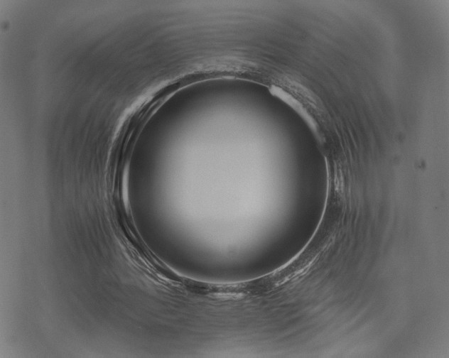 X0000071380388200606261419