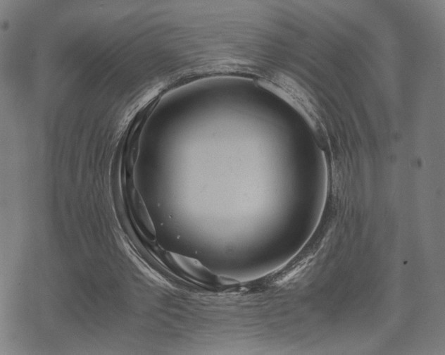 X0000071380389200606261419