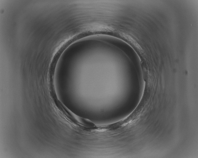 X0000071380391200606261419