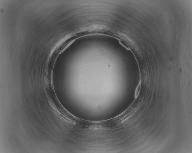 X0000071380392200606261419