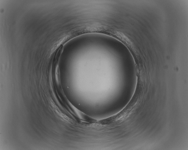 X0000071380393200606261418