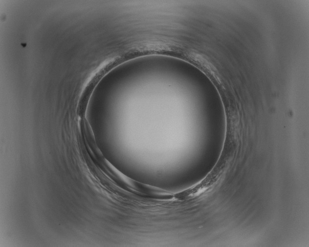 X0000071380395200606261418