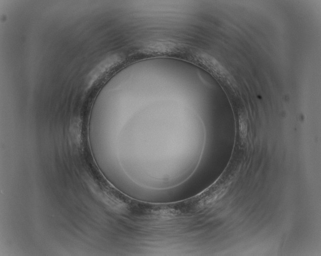 X0000071380396200606261418