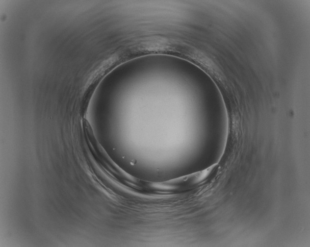 X0000071380397200606261418