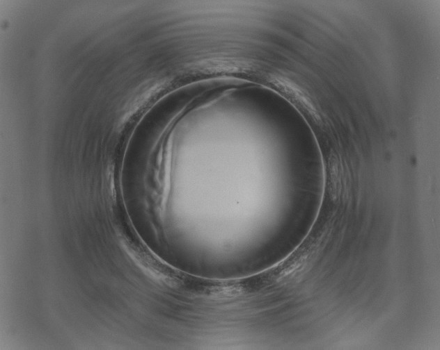 X0000071380398200606261418