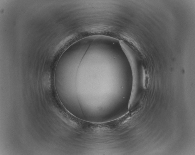 X0000071380400200606261418