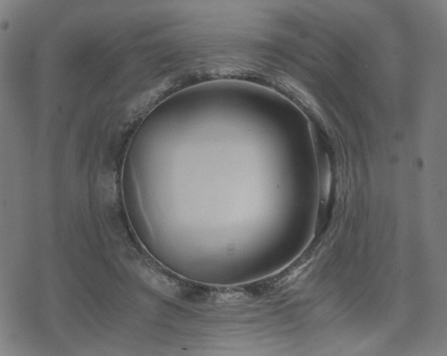 X0000071380401200606261418