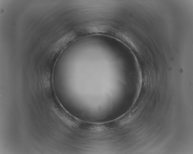 X0000071380402200606261418