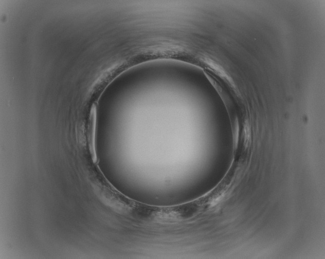 X0000071380403200606261418