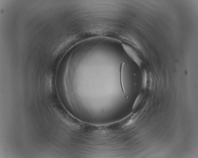 X0000071380404200606261418