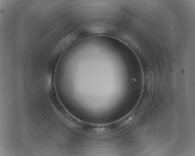 X0000071380406200606261418