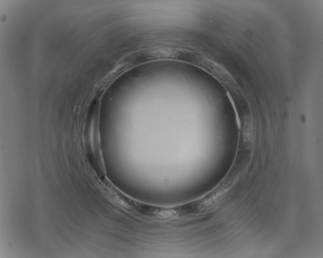 X0000071380409200606261418