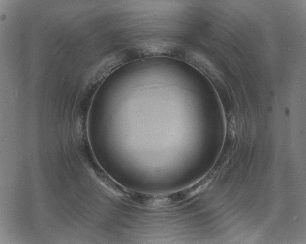 X0000071380410200606261418