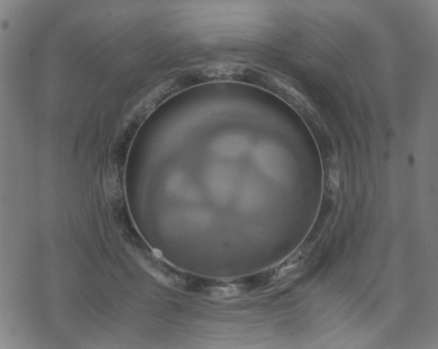 X0000071380411200606261418