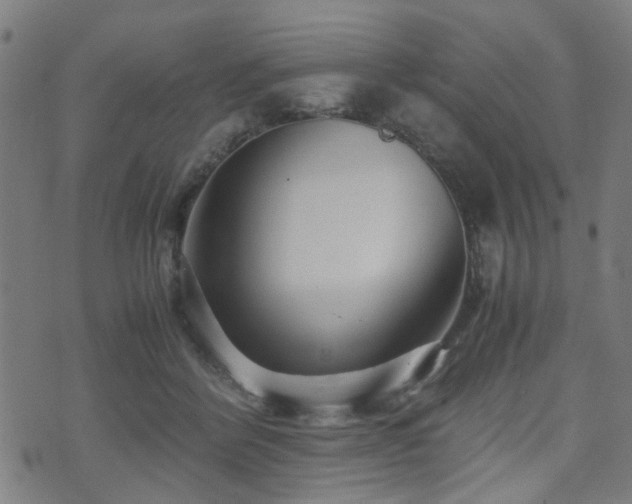 X0000071380412200606261418