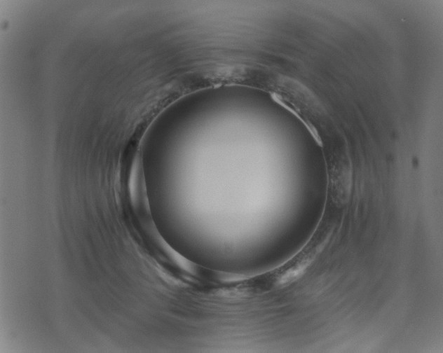 X0000071380416200606261418