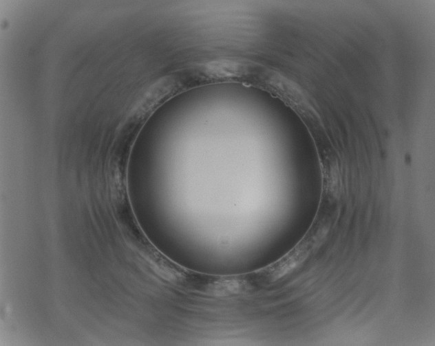 X0000071380418200606261418