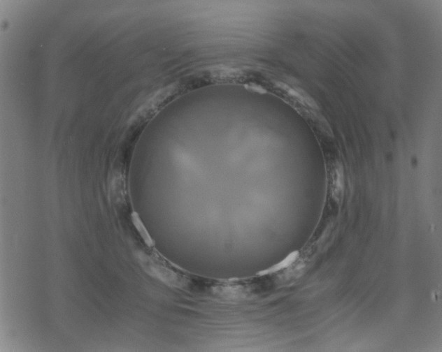 X0000071380419200606261418