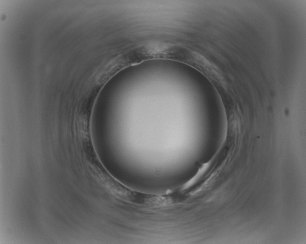 X0000071380421200606261418