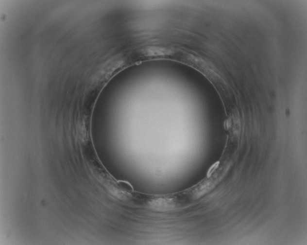 X0000071380422200606261418