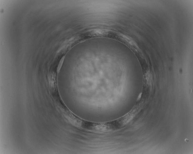 X0000071380423200606261418