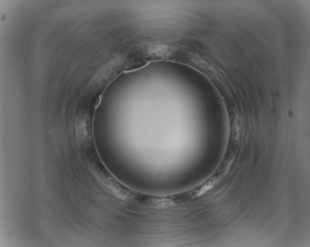 X0000071380424200606261418