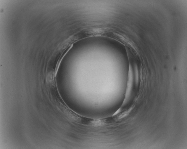 X0000071380425200606261418