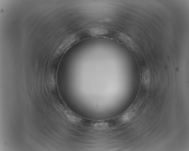 X0000071380426200606261418