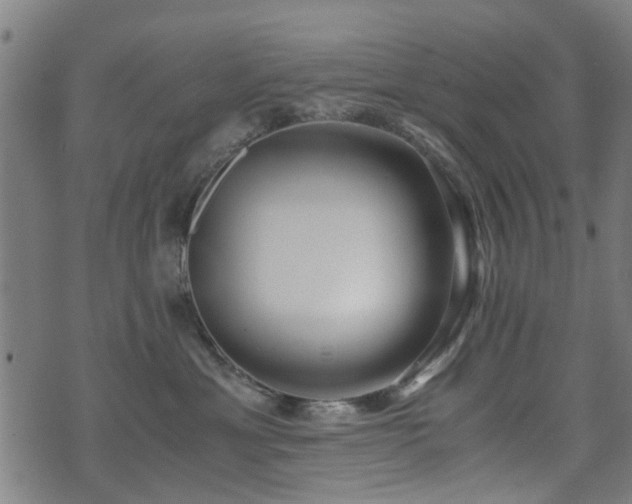 X0000071380429200606261418