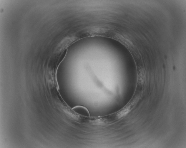 X0000071380430200606261418