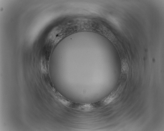 X0000071380431200606261418