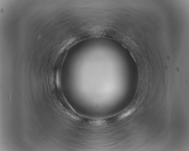 X0000071380432200606261418