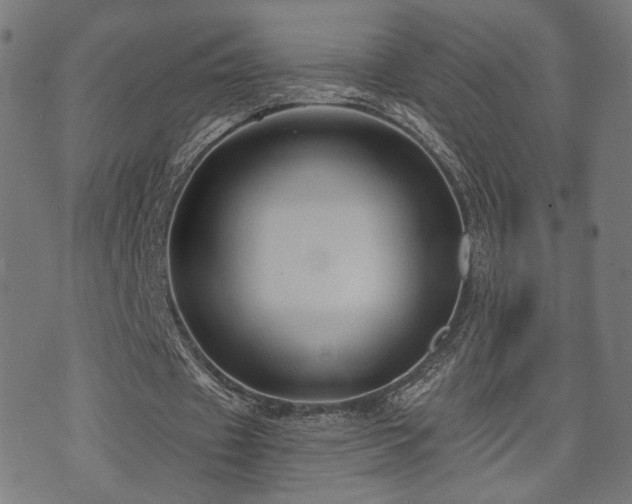 X0000071380433200606261417