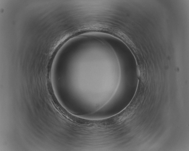 X0000071380434200606261417