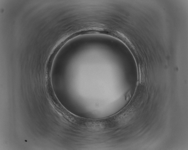 X0000071380435200606261417