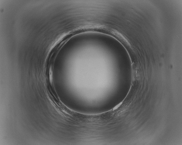 X0000071380436200606261417