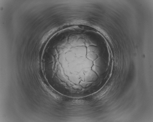 X0000071380437200606261417