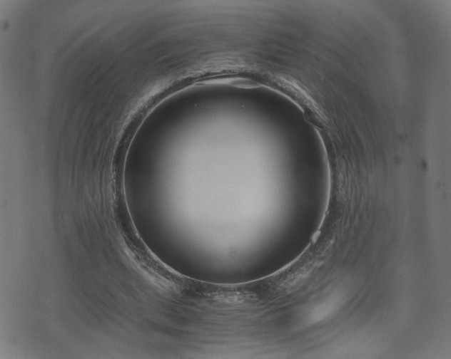 X0000071380439200606261417